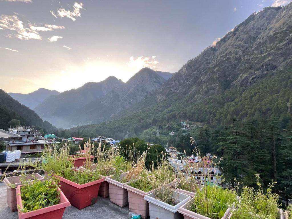 Diamond Valley X One Light Stays Kasol Exterior foto